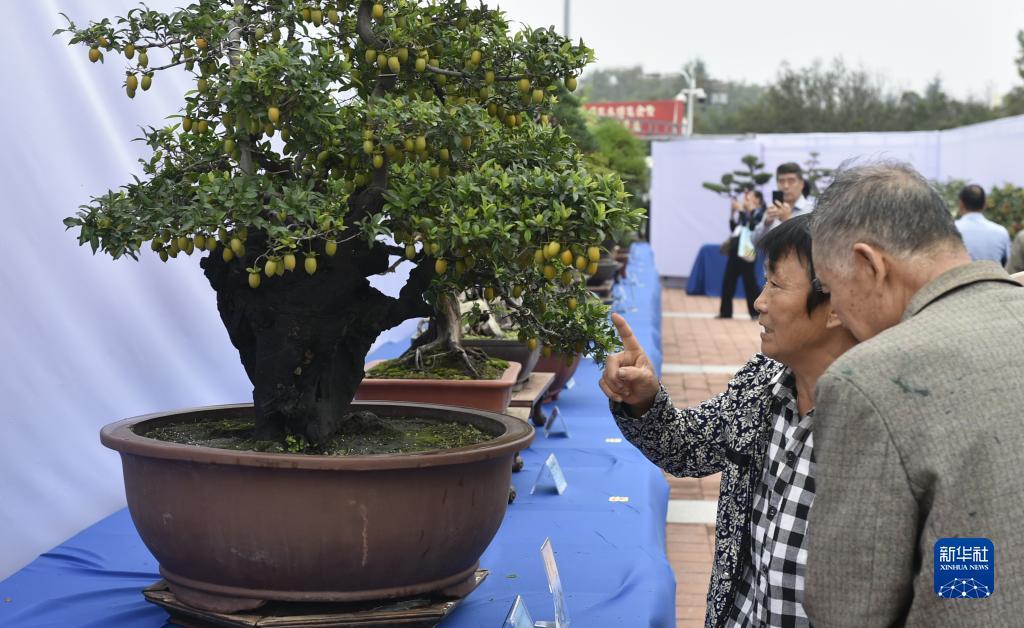 希尔顿电子游戏网站